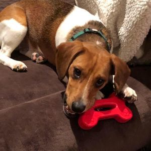 Meet your Posher, Cara